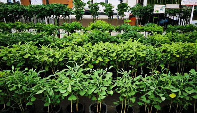 渠道供货中库存管理不当对销售结果的影响