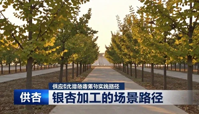 供应链优化背景下维护建议的实践路径